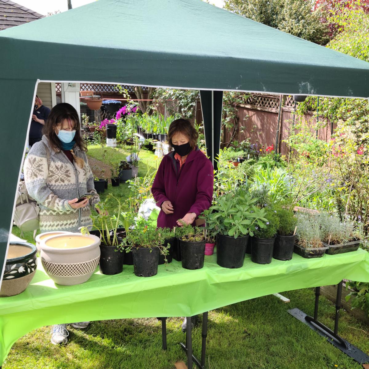 Have you seen our latest news? conta.cc/3p4fMuR