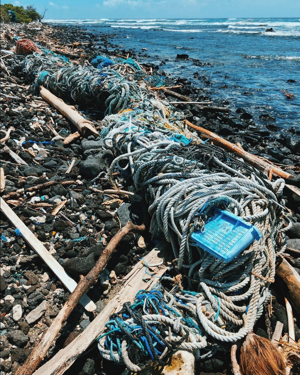 New Hotline Established to Report Derelict Fishing Gear - mailchi.mp/6eff19300718/n…