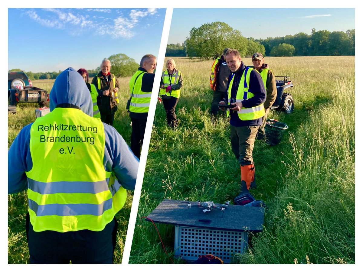 #heuernte mit der #rehkitzrettungbrandenburg und unseren #potsdamerjäger (n)   - 11 Kitze wurden gerettet. Danke an alle. Eure #agrosaarmund