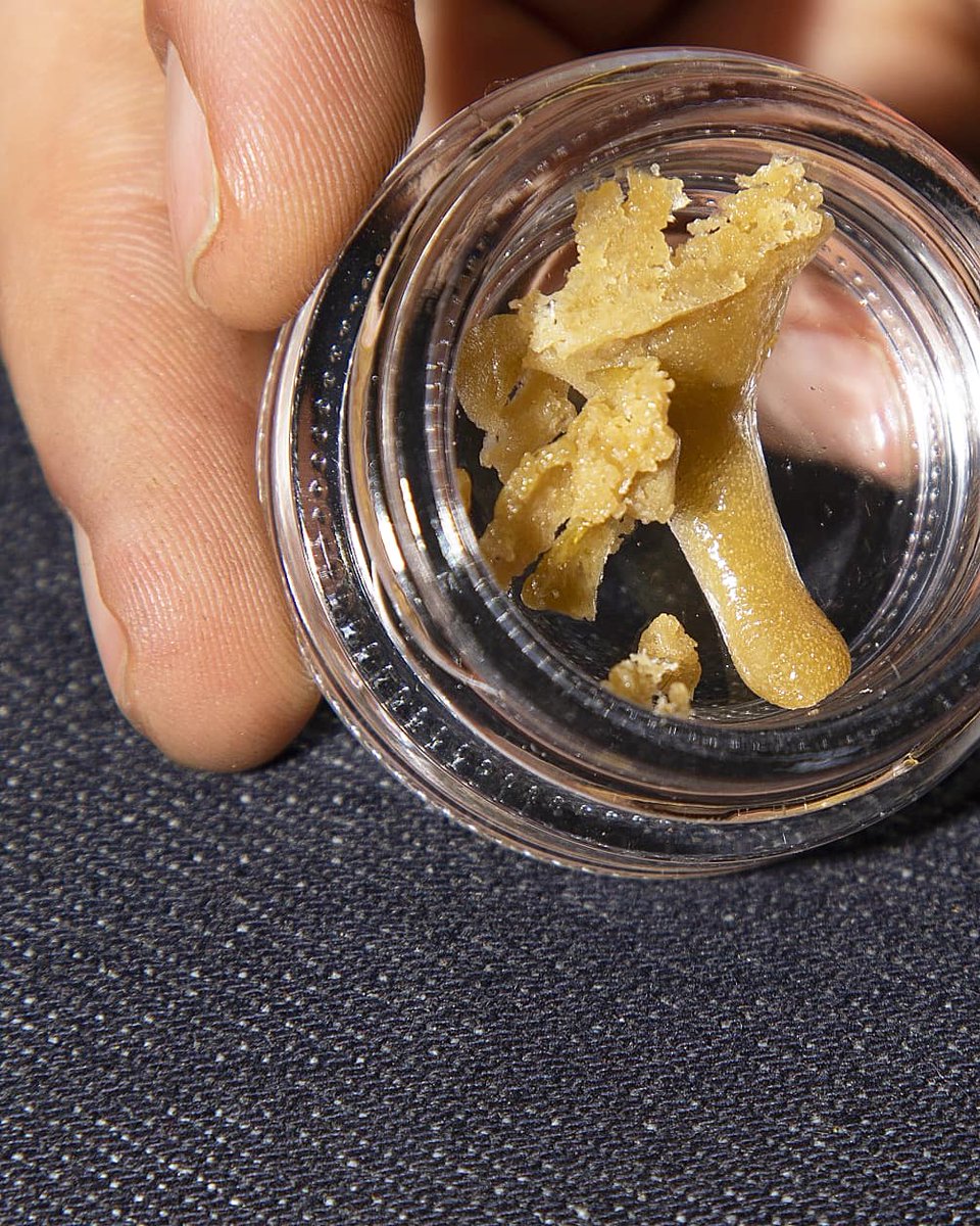 Eva Seeds tweet media