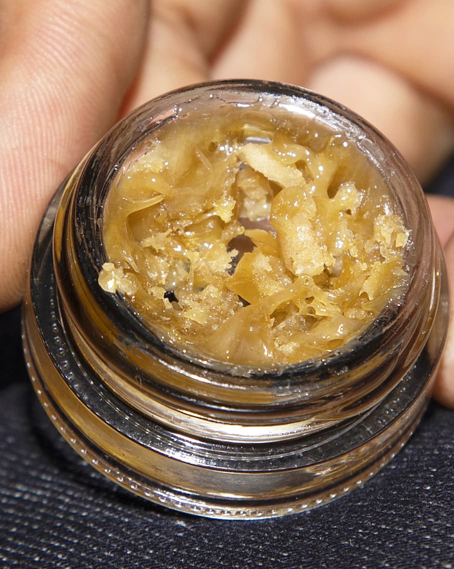 Eva Seeds tweet media