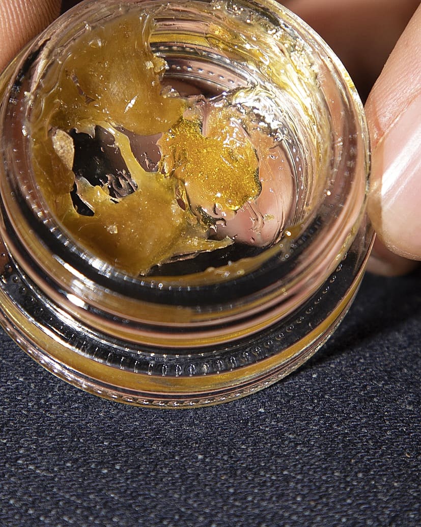 Eva Seeds tweet media