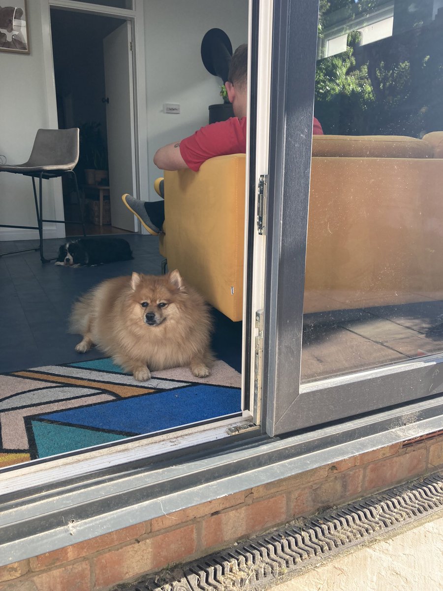 Mrs King-Byatt tweet media