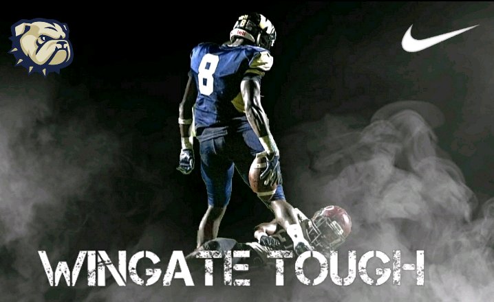 Can't keep the DOGS chained forever‼️🐶 #ONEDOG