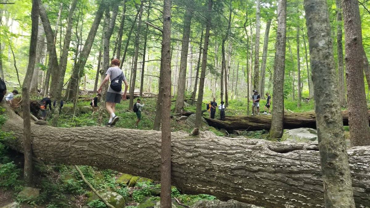 Avon Wrestling tweet media