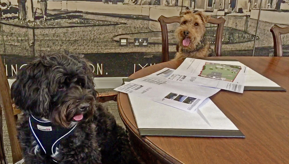 weedonarch's tweet photo. Planning permission granted for Canine Rescue centre in Suffolk – Pampered Pets. They run a fantastic centre with a non destruction policy. They need our support. Here are our resident Barkitects, Gruff + Tilly (a cockerpoo from the rescue centre). #dogs #rescuedog #DogLover https://t.co/dD6gDKsmCT