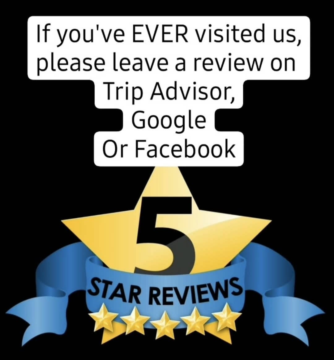 Share the love! Reviews and feedback help us to improve and provide a better experience for our customers, after all - happy customers = Happy Falcon! 😘