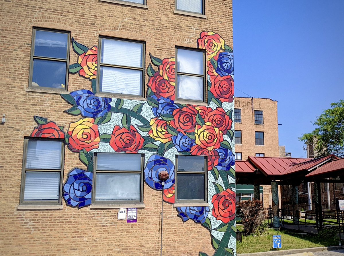 Green Star Movement tweet media