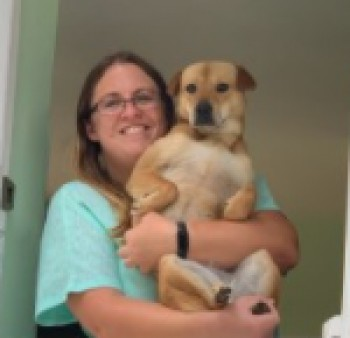 millypod1's tweet photo. SALLY HOME SAFE. THANKS FOR RT's πππΎ
#Lost Tan Shar Pei Cross Female
nr Glebe Fields #Bentworth #GU34 nr #Alton #Hampshire
SIGHTINGS PLZ**
https://t.co/HWM4U5t8zA https://t.co/gVLxlm6Xxz