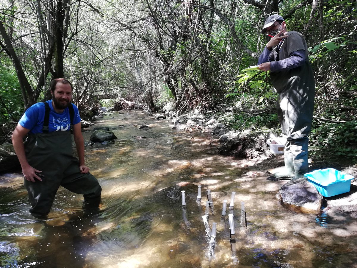 Xilef_AB's tweet photo. Another nice day sampling for @URBIFUN1 project. Learning by doing with great friends in Sistema Central range. Looking forward to know how urbanization affects river functioning, with @apetijo and Óscar Belmar. @AIL_limnologia #HavingFunWithUrbifun https://t.co/SorZm3wvgb