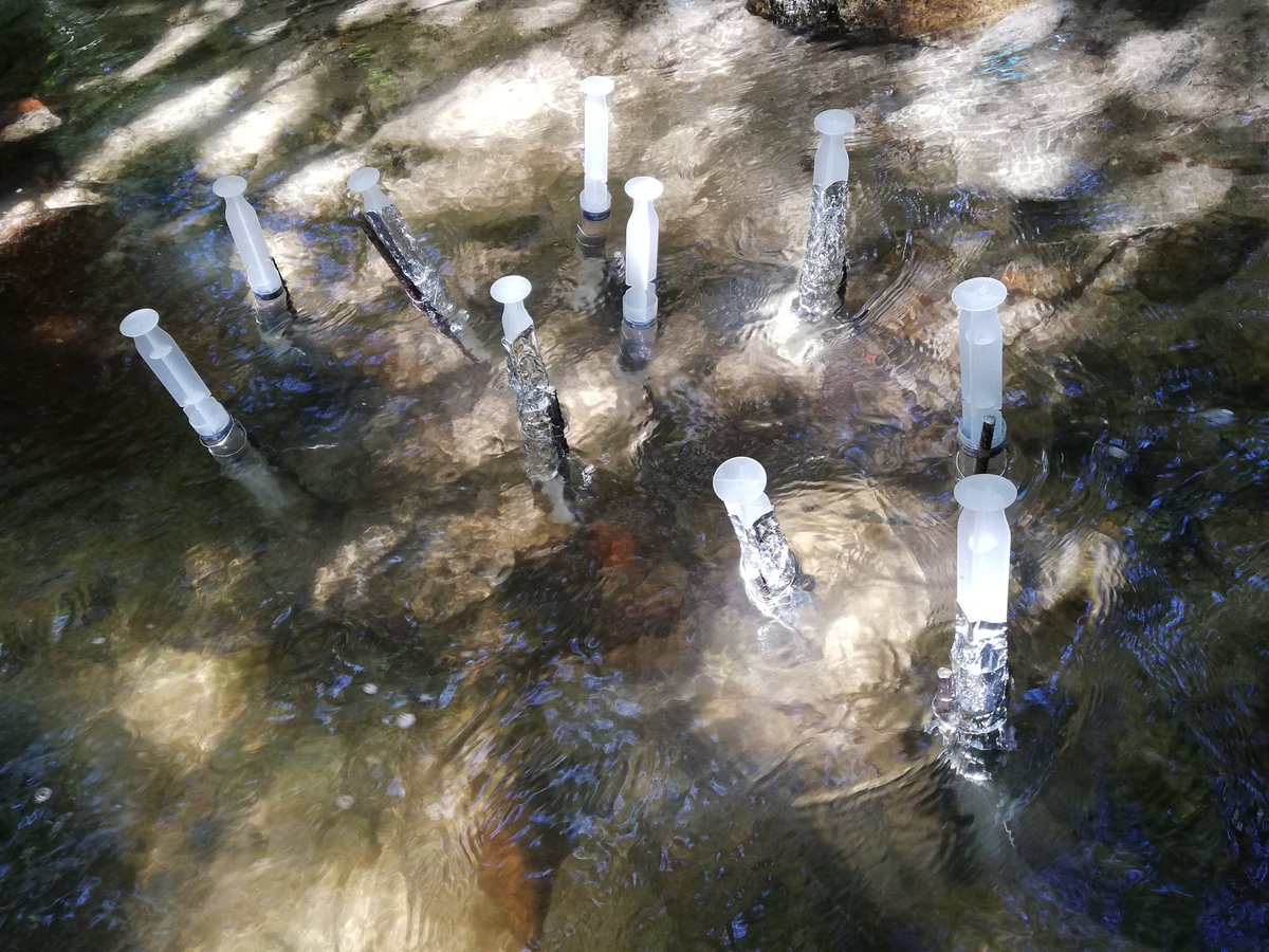 Xilef_AB's tweet photo. Another nice day sampling for @URBIFUN1 project. Learning by doing with great friends in Sistema Central range. Looking forward to know how urbanization affects river functioning, with @apetijo and Óscar Belmar. @AIL_limnologia #HavingFunWithUrbifun https://t.co/SorZm3wvgb