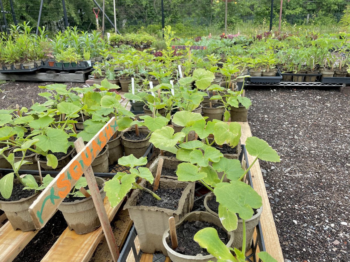 Ecological Culture Initiative tweet media