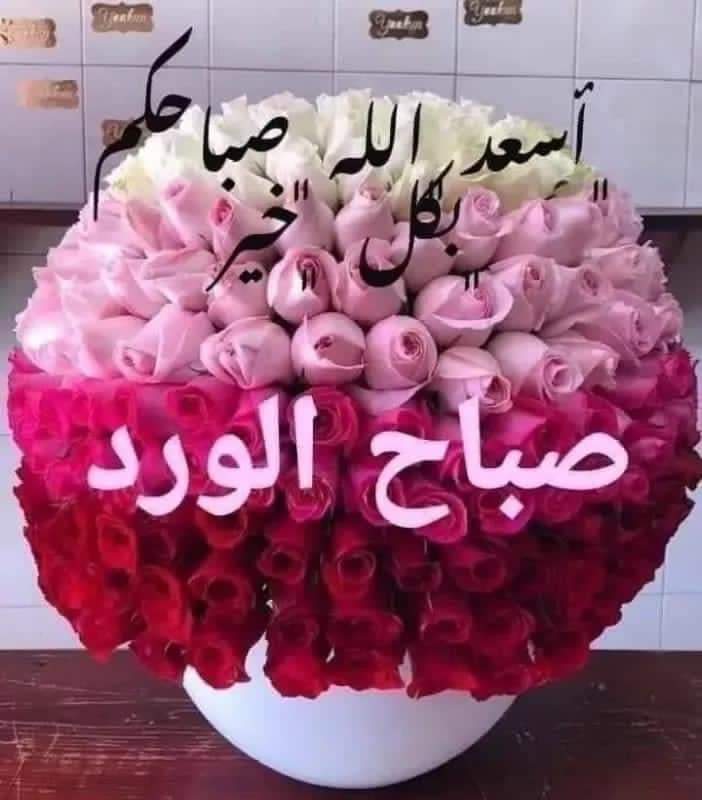 HafsaMufti's tweet photo. https://t.co/ZyMmQjX5NN