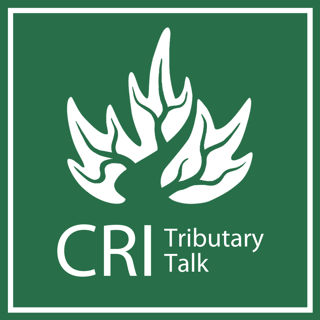 CRI_News's tweet photo. 🎉 Introducing our inaugural Tributary Talk! 🎉
This new virtual presentation is the Canadian Rivers Institute Early Career Researcher Lecture - to showcase someone up and coming that shows great promise in their career. 🏞
Register here: https://t.co/iGxry1aLuc
#CRIresearch https://t.co/WzOAKF8Pg6