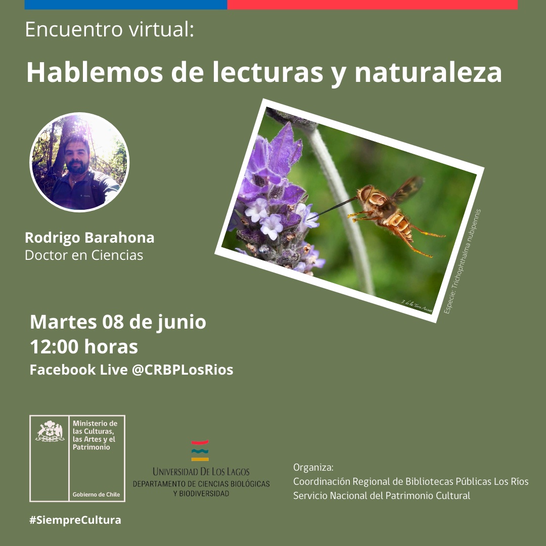 🗓Martes 8 de junio, 12:00 horas
🔗Facebook Live @CRBPLosRios
👉Rodrigo Barahona, doctor en Ciencias  nos presentará: "Moscas florícolas fantásticas y dónde encontrarlas en las Regiones de Los Ríos y Los Lagos".
#valdiviacl