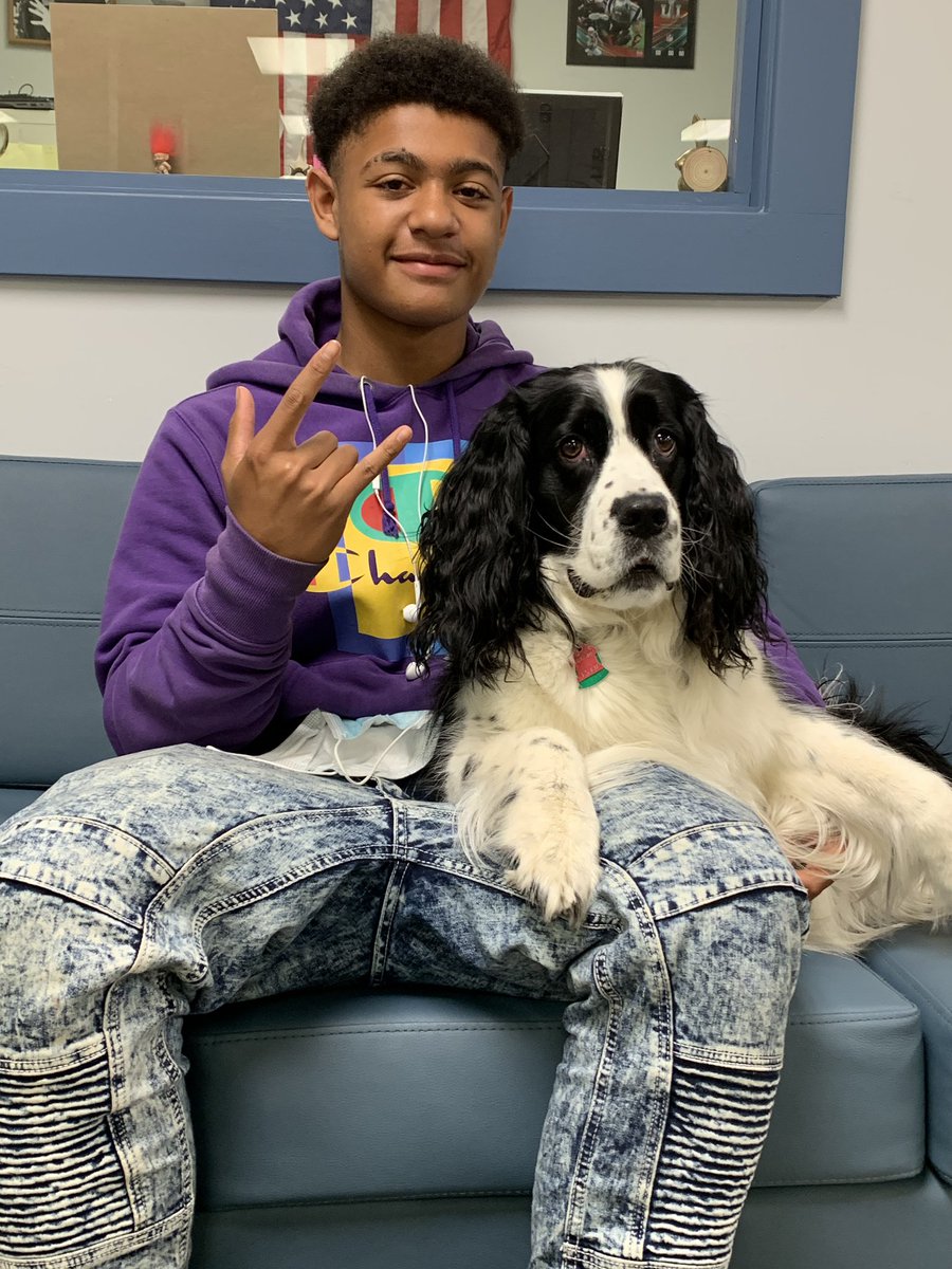 Plymouth Harbor Academy tweet media