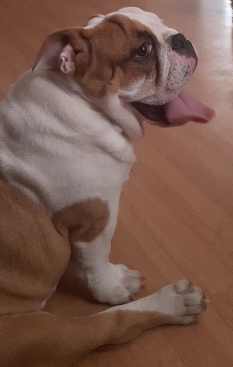 Ricardo Rodrigues $UNIO tweet media