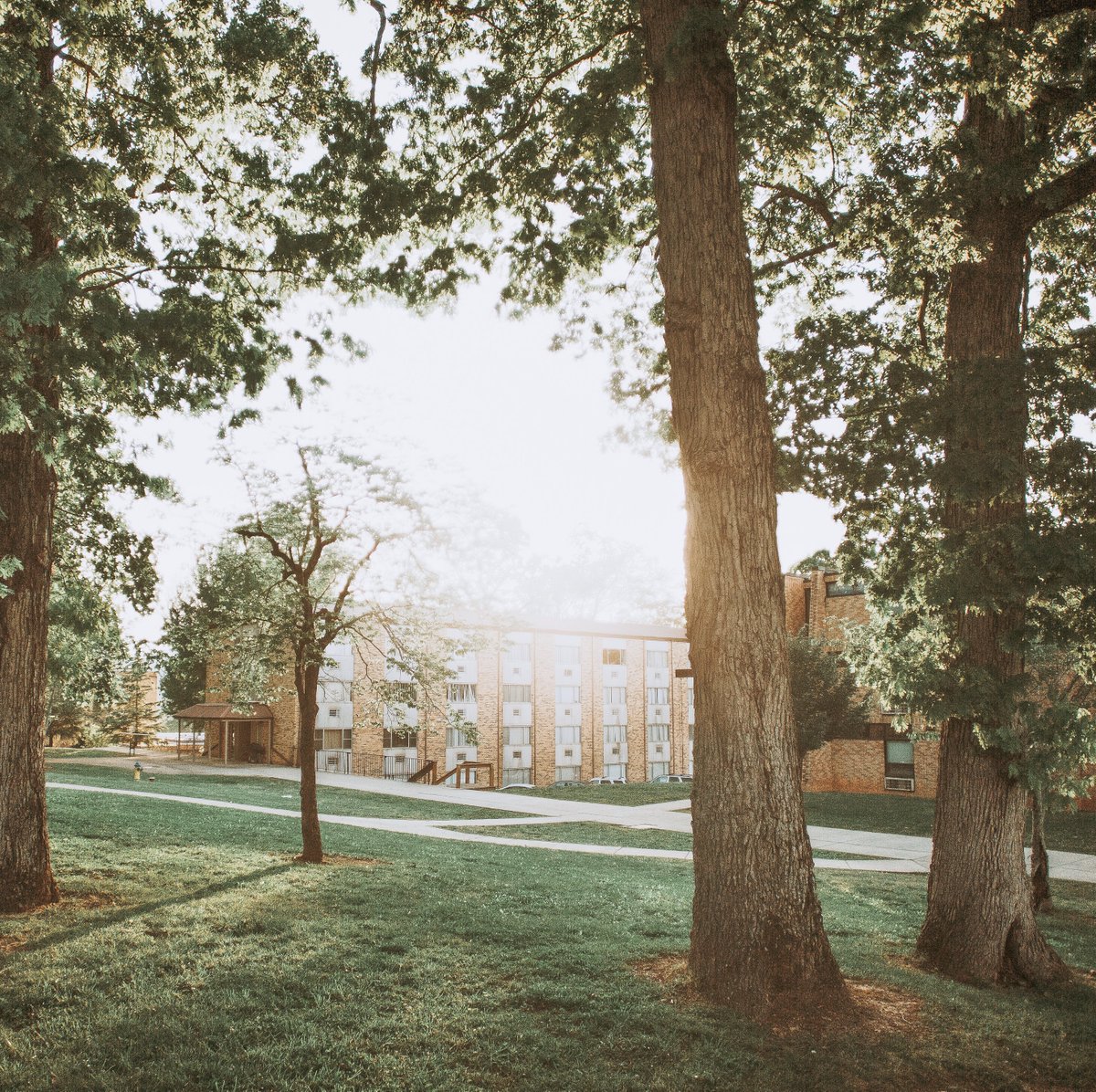 BryanCollege's tweet photo. We caught that Friday feeling-- clear skies, fresh air, & the weekend on the horizon 😎 🦁
#bryancollege #lionpride #fridayfeeling #capturebryan https://t.co/CHoAmgg9n4