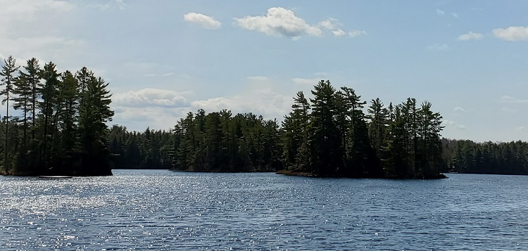 If you love to be in and on Muskoka’s waterways, Safe Quiet Lakes wants your input
Please click this link below to read the article 
doppleronline.ca/.../if-you-lov…
Please click this link to participate in the survey
surveymonkey.ca/r/SQL2021