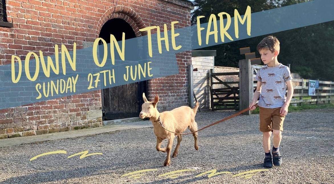 SledmereHouse's tweet image. Join us for a day full of fun Down on the Farm Sunday 27th June
🐴 Enjoy demonstrations on plaiting and harnessing the Sledmere Shires
🐑 Get tips on sheepdog training from a pro as he and his trusty companion expertly herd ducks
🐐 Help to walk our beautiful Golden Guernsey