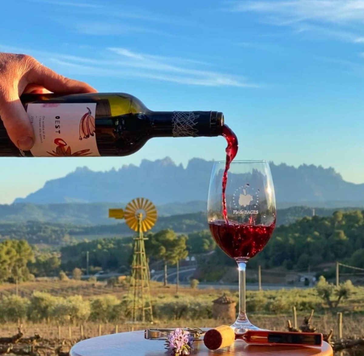 El Bages està a punt de celebrar un gran cap de setmana dedicat als seus vins 🍷
Un munt d'activitats t'esperen a #Manresa en una nova edició de la <a href="/firaviba/">Fira ViBa</a>, una fira per descobrir, conèixer i gaudir dels vins de la <a href="/dopladebages/">DO Pla de Bages</a>. No t'ho pots perdre!

📷 <a href="/Cellerelmoli/">COLLBAIX</a>