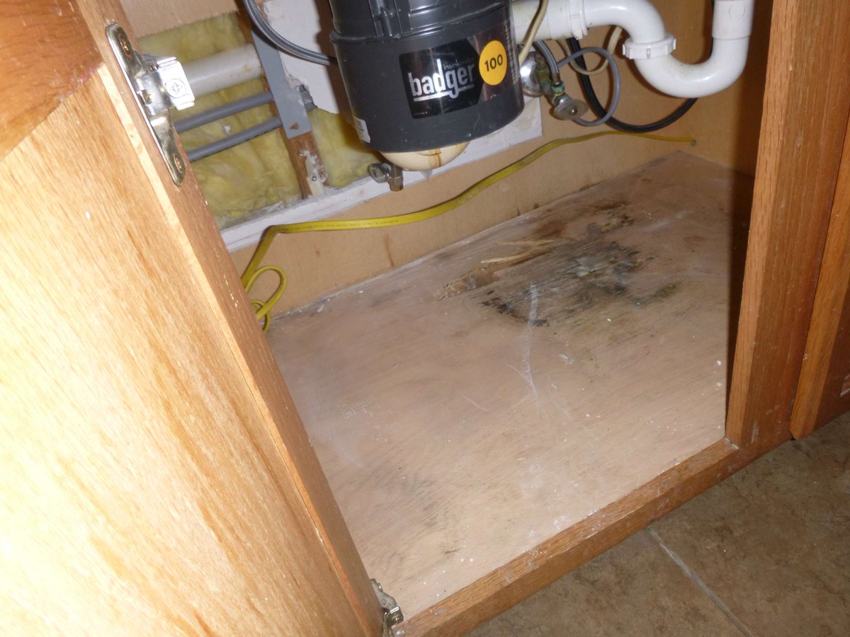 When you have water damage, and any corresponding mold growth, we can help!

#waterdamage #waterdamagerestoration #waterdamagerestorationservices #waterrestoration #waterrestorationservices #waterdamagecompany #waterrestorationcompany