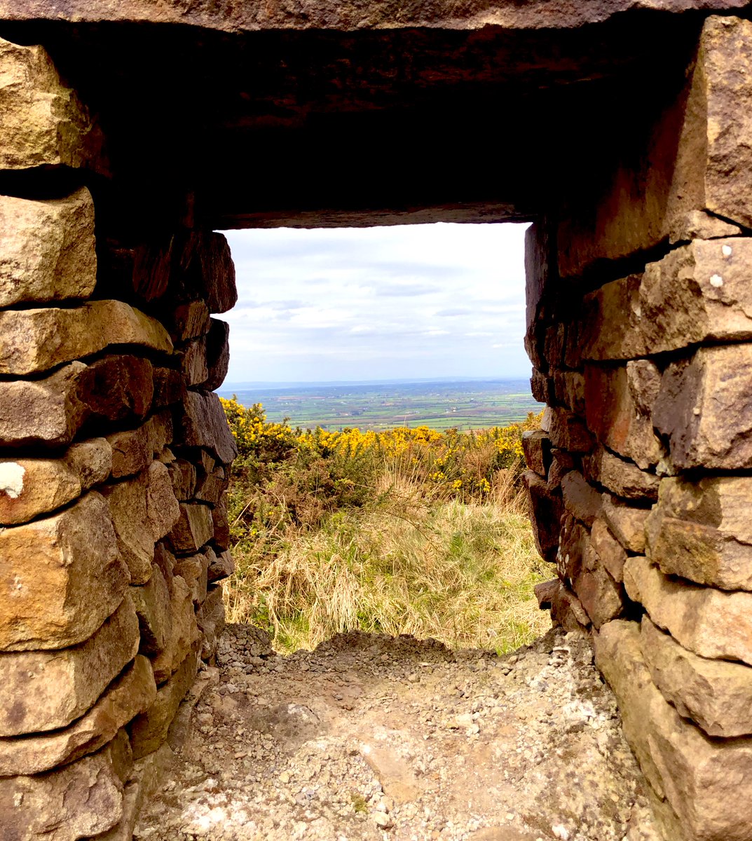 Knockfierna - Hill of the fairies 🧚‍♀️ Great views of #LimerickCity and the Shannon Estuary from the top. #Limerick