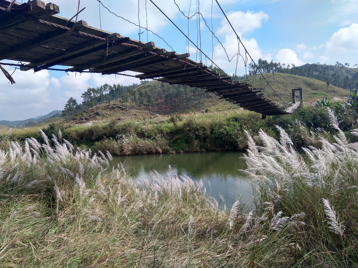 KyaYaarKhyatee's tweet photo. Adding on to the beautiful pictures from NE, this one's an unfiltered, unedited picture from my phone camera. Meghalaya, 2019
#NorthEastMatter #chapterforNE #chapterfornortheast https://t.co/fAvjyWT4tP