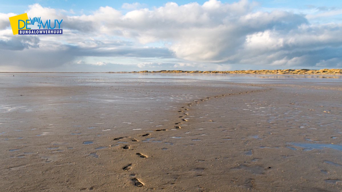 De ☀️ en 🏝, het is heerlijk vertoeven in onze bungalows en vooral in de heerlijke tuinen met volop rust. Voor Juni hebben wij nog leuke aanbiedingen! 😄 tot gauw? 

Foto: Jan van Dijk #demuy