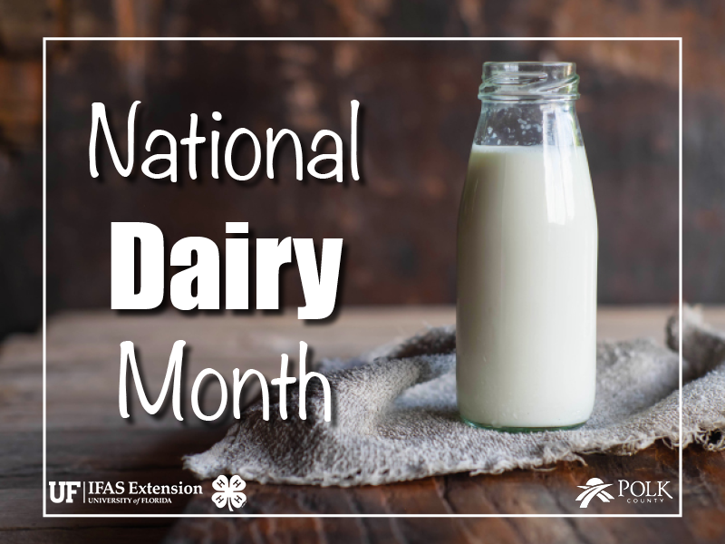 Polk4h's tweet photo. National Dairy Month in June celebrates the many contributions of the dairy industry to our health and economy. Polk County 4-H invites you to support local dairy farmers all month long! #NationalDairyMonth https://t.co/D7iccLZH4j