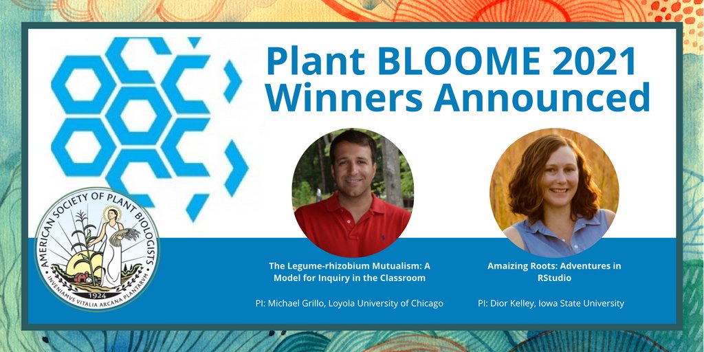 Liz Brauer (liz_brauer) / Twitter