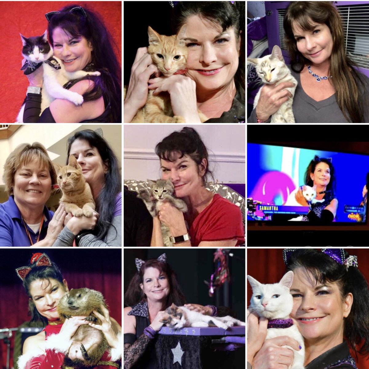 It’s National 💜HUG YOUR CAT 😳Day! Test your Acro-Cat ID skills! Who is Samantha hugging in photos #1-#9? Bonus questions for serious, dedicated fans: #10 Which cat is not enjoying being hugged? #11 Which cat is conspicuous in her absence and why? #acrocats