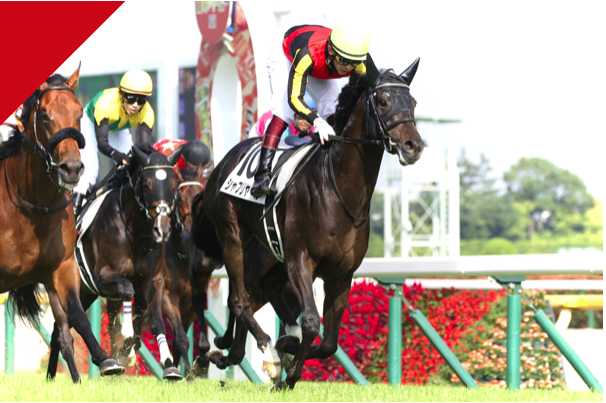 sala__art's tweet photo. シャフリヤール 日本ダービー優勝記念品はサラブレッドライフHPにて受付開始！♦︎特典ポストカードは期間限定6月28日（月）まで。
マグカップ・トートバッグ・オーナーズネクタイ・ワイン・愛馬油彩画
#サラブレッドライフ
https://t.co/YWZjxj6NpQ

#シャフリヤール  
#日本ダービー 
#東京優駿 https://t.co/GQlx8ainvh