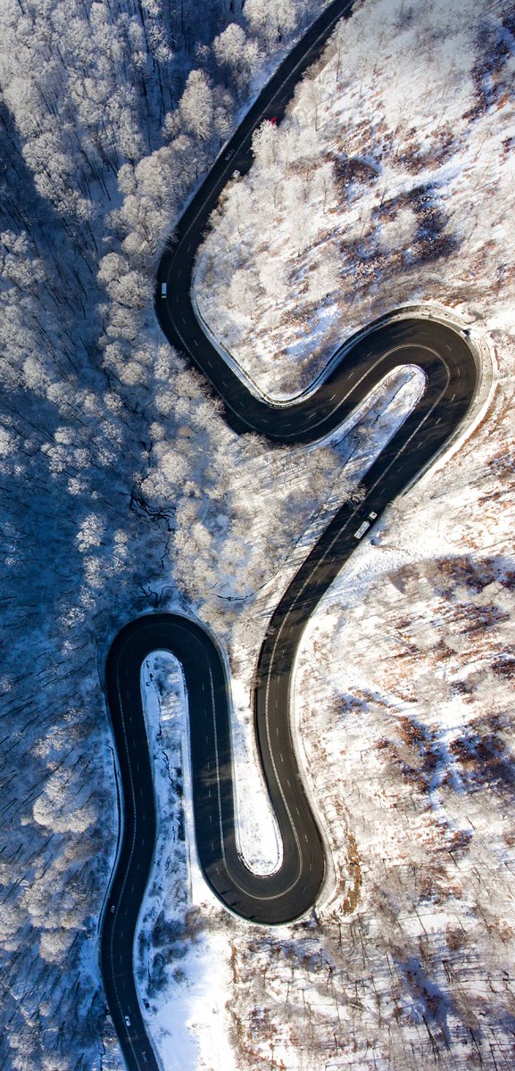 Last try. 2 of them.