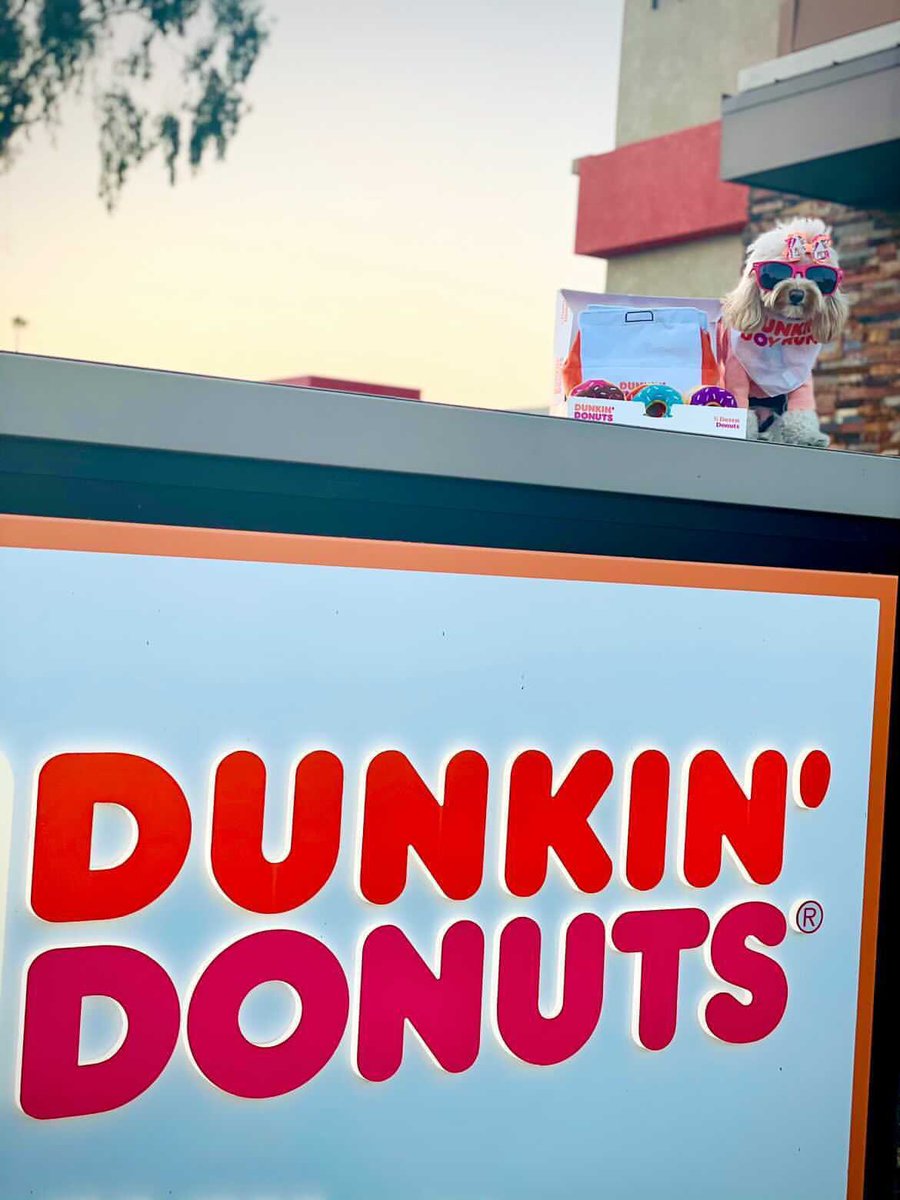 DogsofInstagram's tweet image. Donut stop, get it, get it. We’re glazy for donut day! And as they say, we should all eat more hole foods 🍩😏 #nationaldonutday 📸: @Naudin560