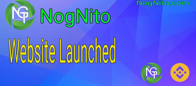 NogNito Has Launched Its website You Can Check This Out here nognito.com 

NogNito cash Is a long vision project with a strong team