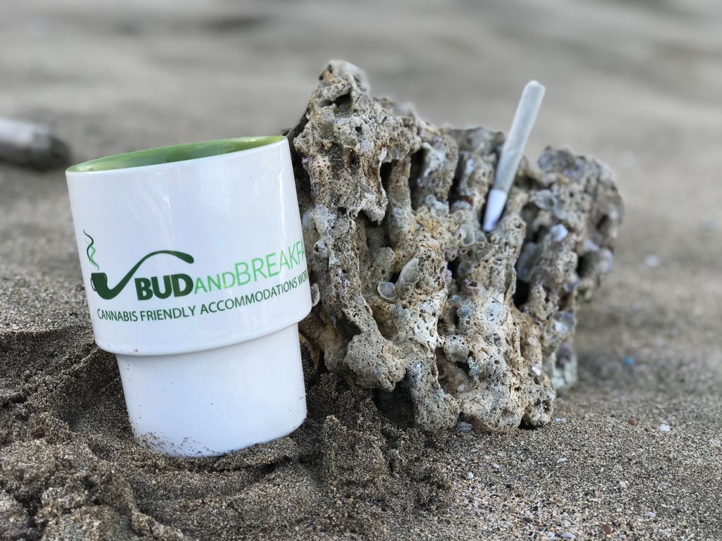 bud_breakfast's tweet photo. Traveling is OPEN! Here's everything you need to know about us. What is a #BudBreakfast? We only have hosts/rentals that are #420friendly No searching for locations, but you CAN search for 🌿 #cannabis provided 🌿 #cannabistravel South Africa to Alaska https://t.co/elNeXxgLLT https://t.co/VNS8A3ZFxr