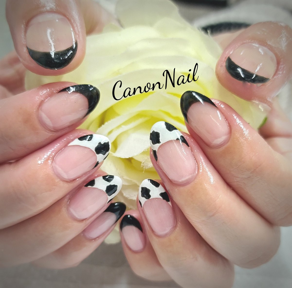 カノンネイル かのん على تويتر おはようございます 朝からテンションあがる 音色を聴いて幸せな気持ちに 今日は裏運気の日の 金の インディアン座 銀のカメレオン座になってますね笑 銀カメ楽しも お客様ネイル 黒と白のフレンチネイルに ウシ柄プラス 丑年