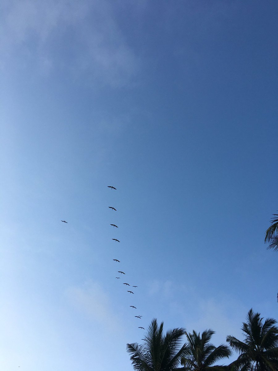 mafergomezm's tweet photo. Paisajes en la playita #Cojimies mi lindo #Ecuador toma una pausa y toma un break https://t.co/YjF8QYY3B7