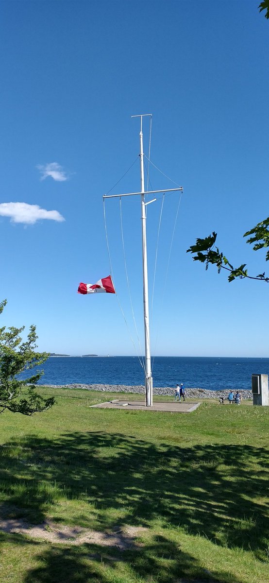 Simbotic's tweet image. 