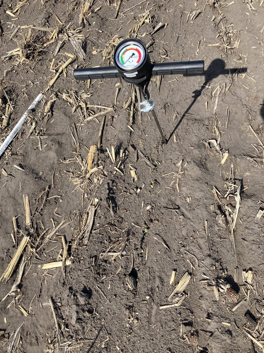 Response to compaction and subsoiling? I take the beans &amp; shovel over the gadget any day -dry beans are the “canary in the mine shaft” for soil issues. More at Northern Soil Compaction Conference on June 22-23. z.umn.edu/NSCC2021