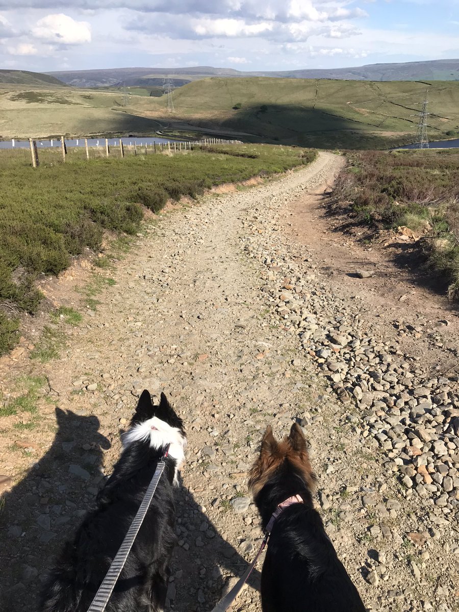 MarkStorie6's tweet photo. After a busy week was good to get up in those hills tonight. Regroup & get ready to go again ⛰ #workhardeverday #positivemindsetonly https://t.co/NDBXZ1DGoO