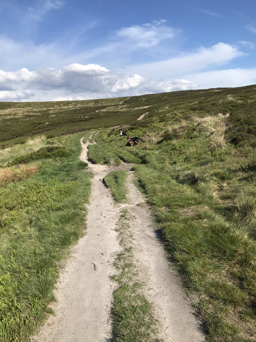 MarkStorie6's tweet photo. After a busy week was good to get up in those hills tonight. Regroup & get ready to go again ⛰ #workhardeverday #positivemindsetonly https://t.co/NDBXZ1DGoO