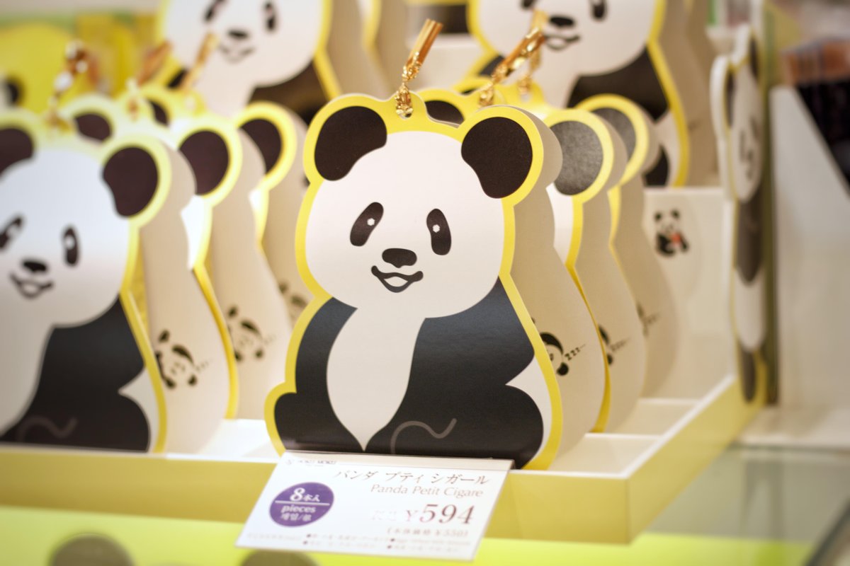 思わず連れて帰りたくなっちゃう！ ＼ 新しいプティシガールが仲間入り