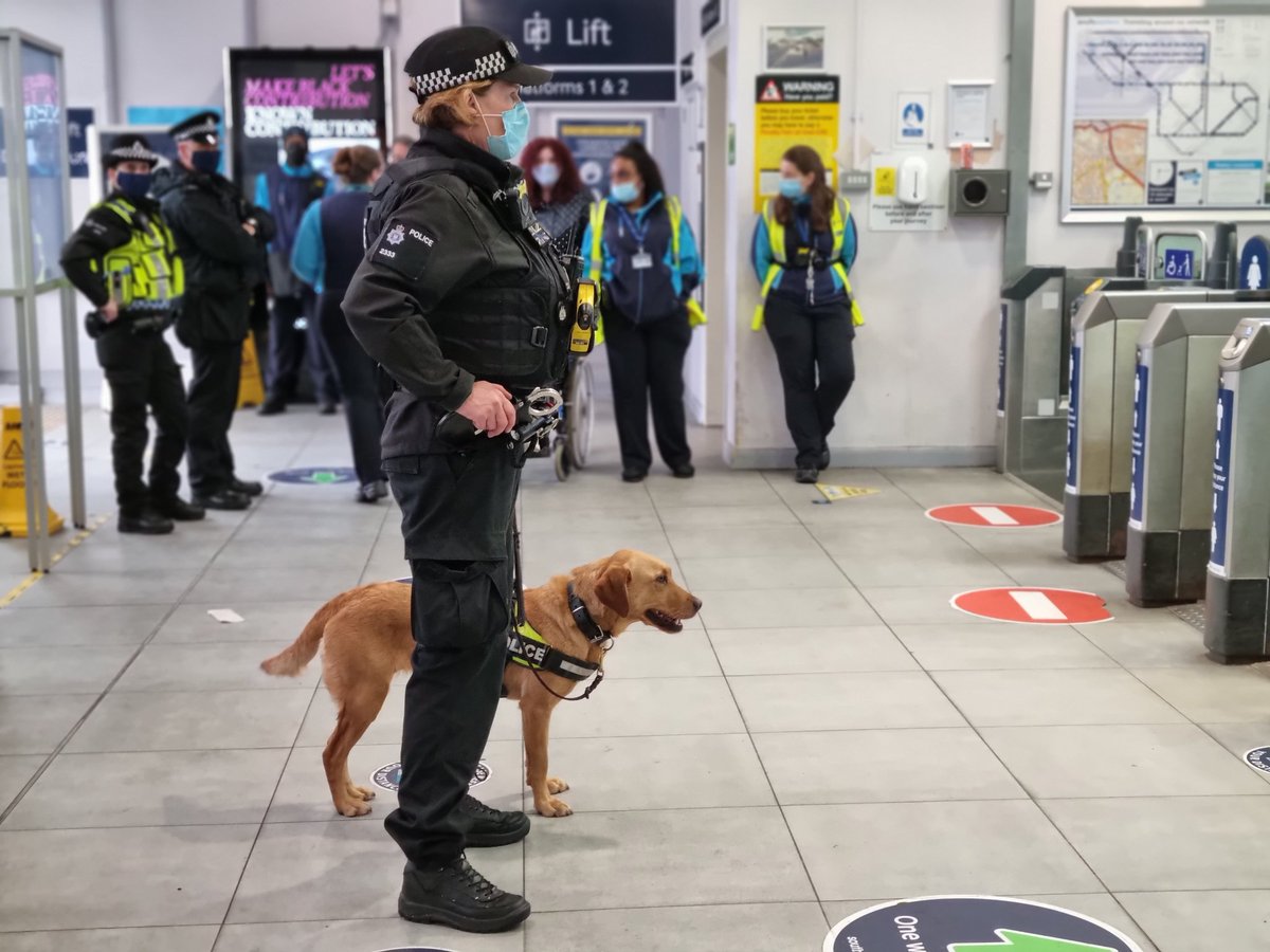 BTPCasey's tweet photo. #BromleySouth welcomed Police drugs dog Polly today as part of a joint operation led by the Bromley Proactive Neighbourhood Team, tackling drugs on the network.
A successful operation all round and a thank you to the Station staff for their hospitality. #OpPython https://t.co/KOdHRZkqtq