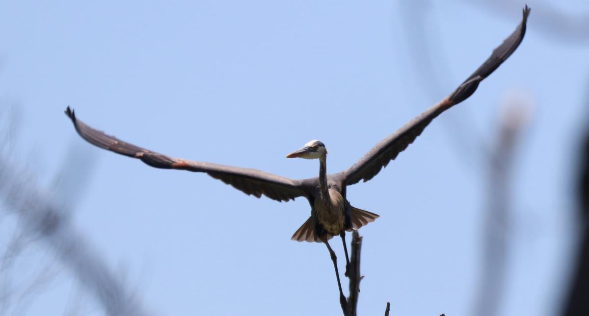 Rivers Month - Find Your Fishing Adventure, Museum of Work and Culture Expand Hours and U... conta.cc/3uQgxJq