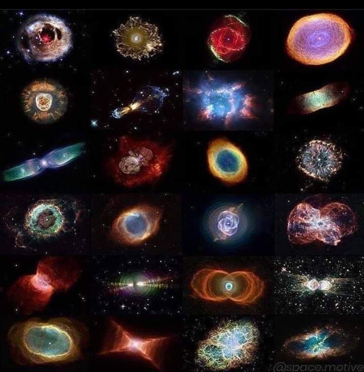 OrgPhysics's tweet photo. Which one is your favorite? https://t.co/Sk48S2wpQ6