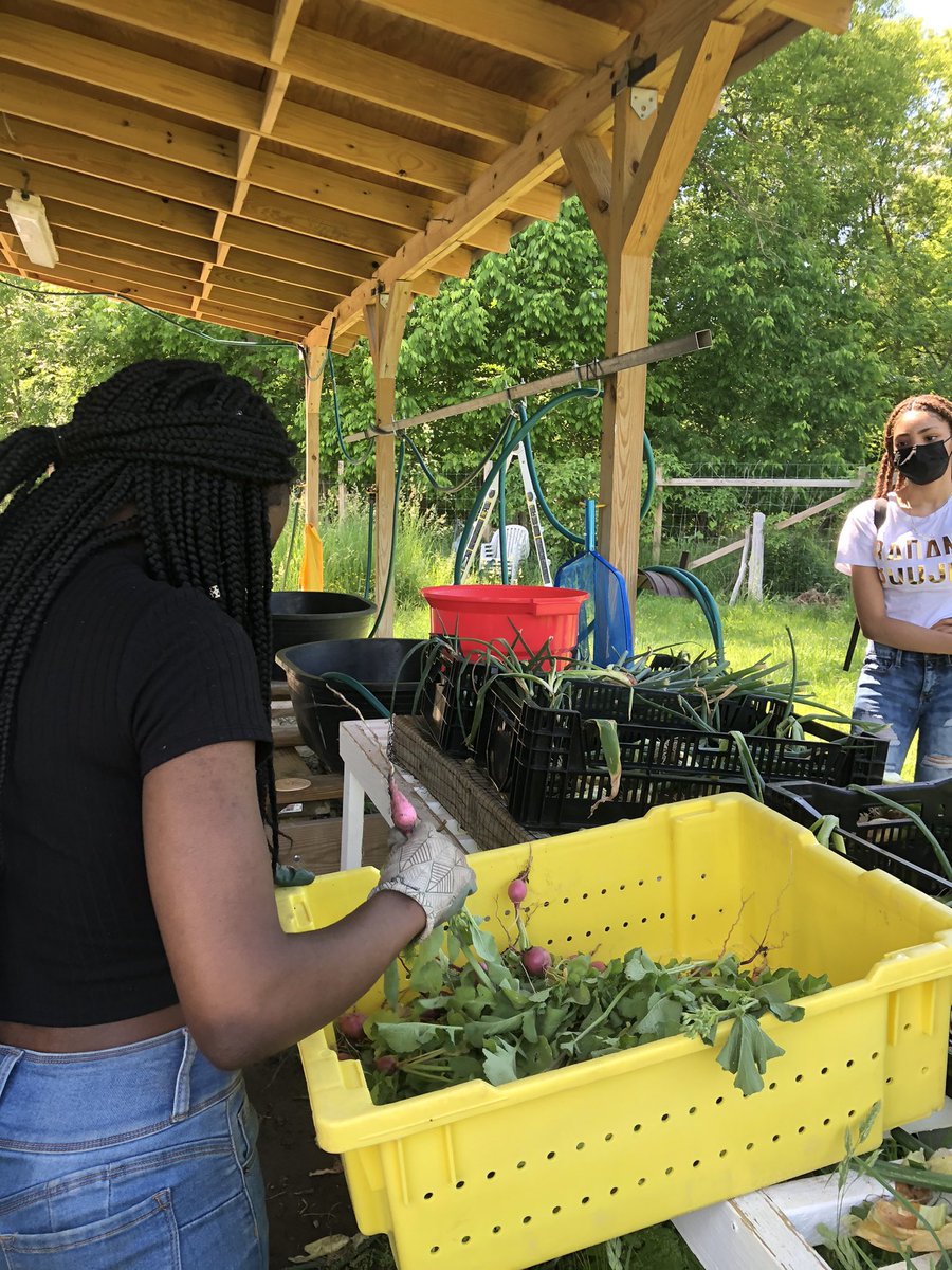 Syracuse P-Tech tweet media