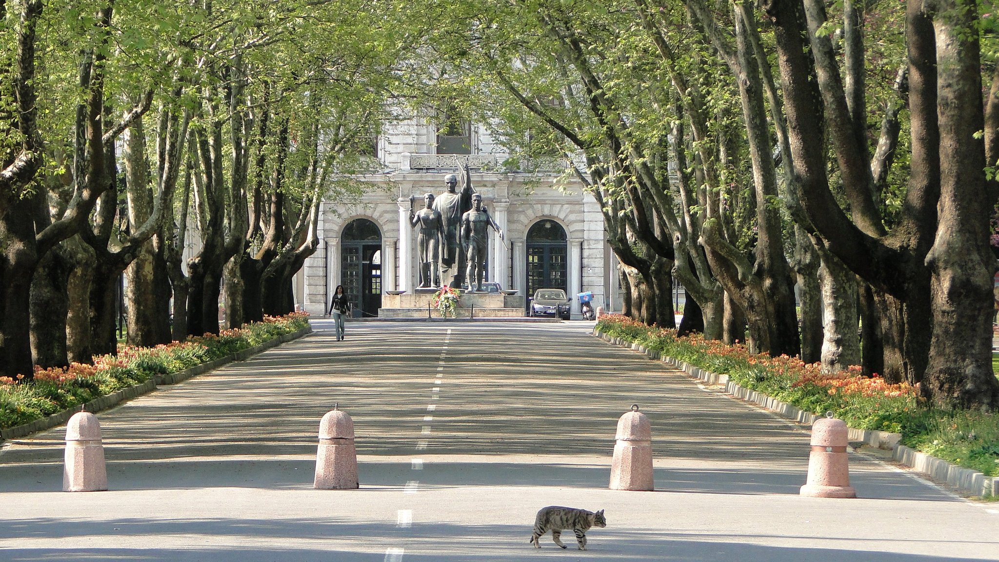 universite inceleme on twitter istanbul universitesi hukuk fakultesi kategori elmas kurulusu 1880 e dayanan turkiye nin ilk hukuk fakultesi turkiye barolar birligi nin acikladigi siralamaya gore en iyi hukuk fakultesi istanbul universitesinin