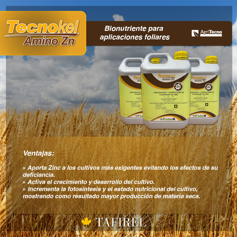 Que no falte ni un solo nutriente a su cultivo💪

Por eso en Tafirel contamos con Tecnokel Amino Zn, un fertilizante de aplicación foliar para la prevención y corrección de carencias de Zinc con aporte de aminoácidos libres que hará que su cultivo se exprese en todo su potencial.